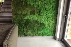 posadzka z mikrocementu w salonie