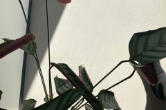 ściana z mikrocementu